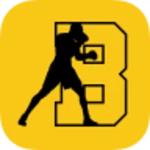 brooklyn boxing android application logo